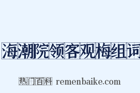 海潮院领客观梅组词是什么意思的图片